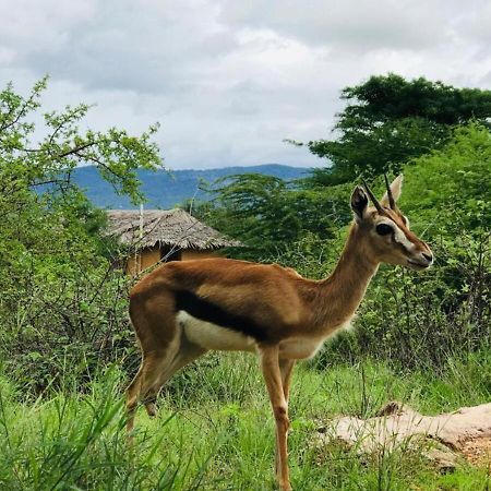 Oldonyo Orok Lodge Kajiado Zewnętrze zdjęcie