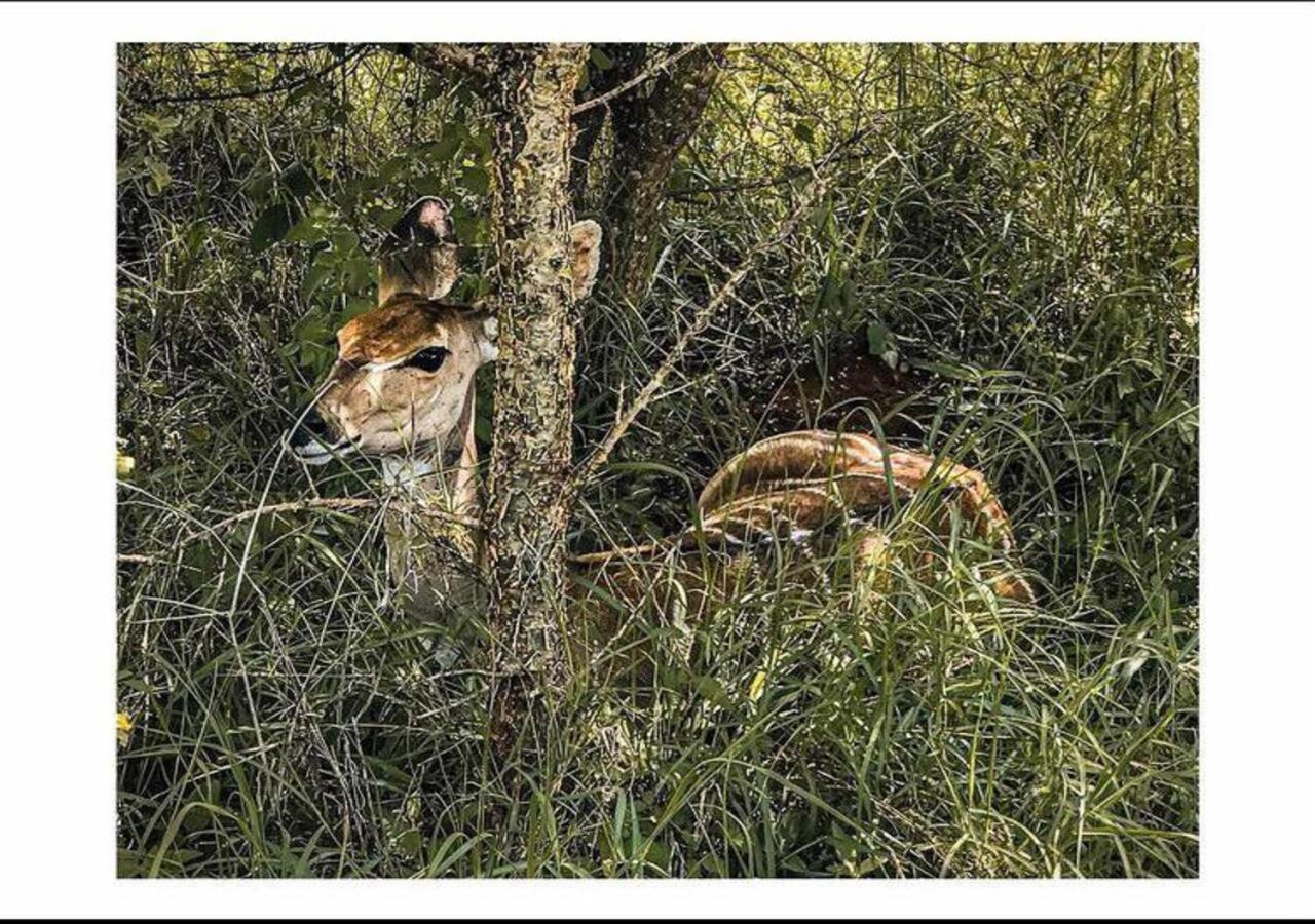 Oldonyo Orok Lodge Kajiado Zewnętrze zdjęcie