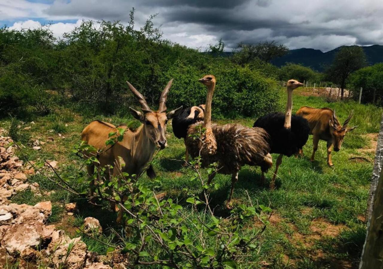 Oldonyo Orok Lodge Kajiado Zewnętrze zdjęcie