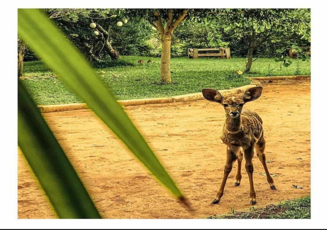 Oldonyo Orok Lodge Kajiado Zewnętrze zdjęcie
