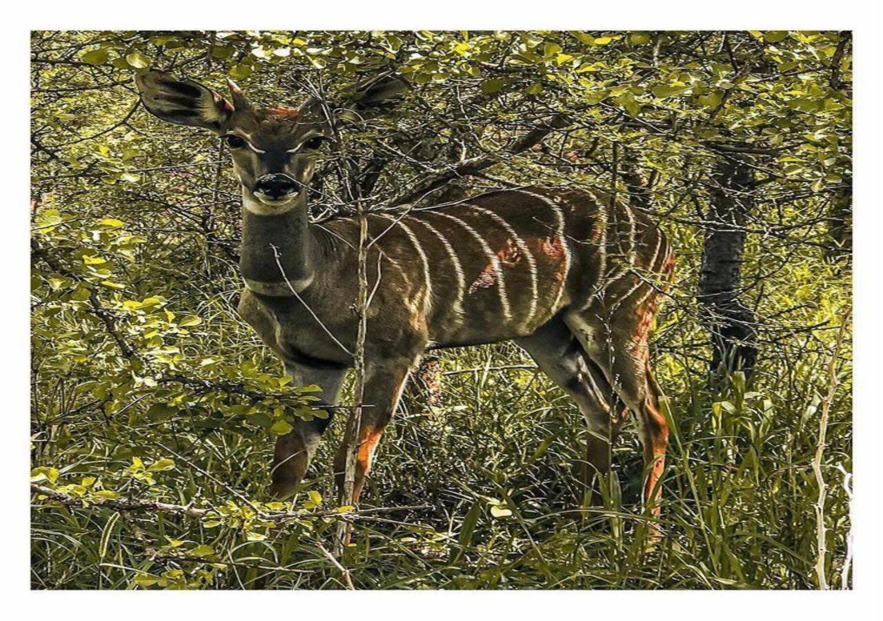 Oldonyo Orok Lodge Kajiado Zewnętrze zdjęcie